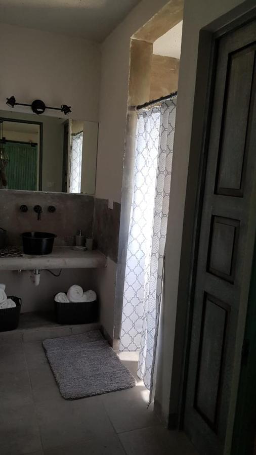 サン・ミゲル・デ・アジェンデ Casa Quatroアパートホテル エクステリア 写真